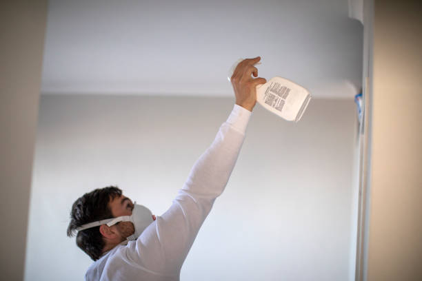 Best Best Mold Removal Companies  in Atherton, CA