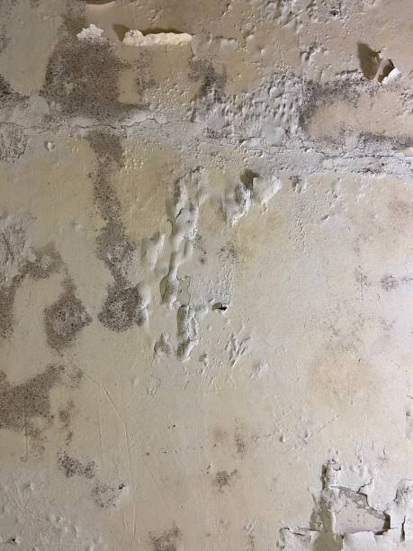 Best Water Damage Restoration  in Atherton, CA
