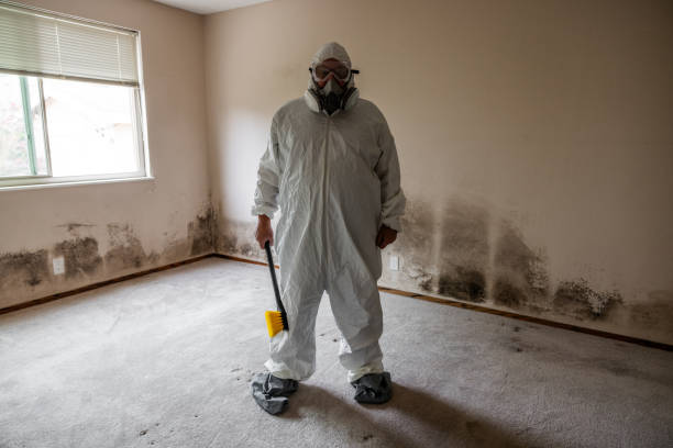 Best Mold Testing  in Atherton, CA
