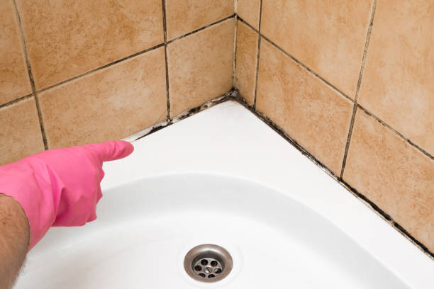 Best Residential Mold Removal  in Atherton, CA